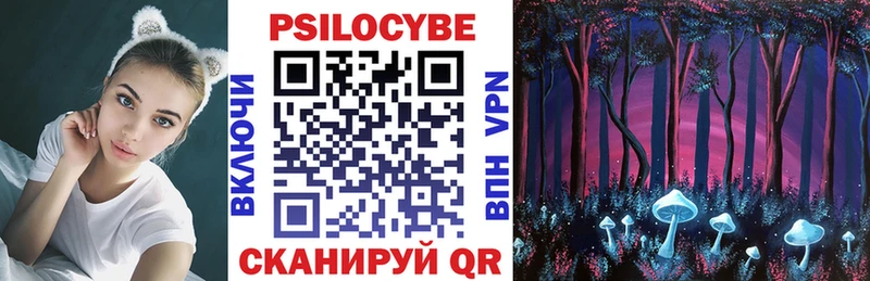 Галлюциногенные грибы Psilocybine cubensis  Верхний Уфалей 